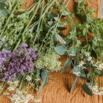 Chcete sa zbaviť stresu a napätia? Vyskúšajte známe liečivé rastliny