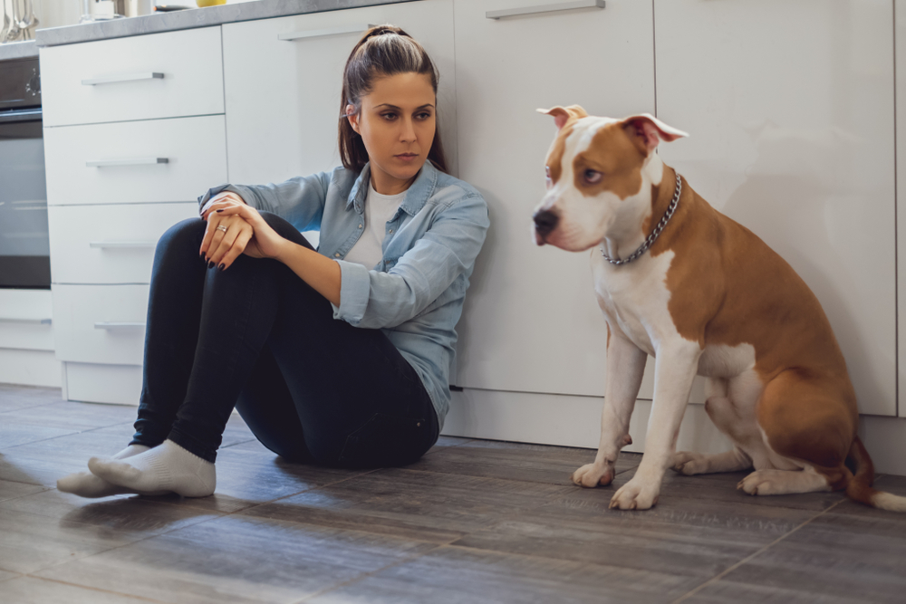 Čo robiť, keď váš pes trpí separačnou úzkosťou