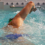 Prečo si vybrať SWIM SPA pred klasickým murovaným bazénom