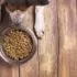 Ako vybrať kvalitné granule pre psov