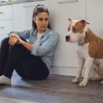 Čo robiť, keď váš pes trpí separačnou úzkosťou