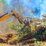 Čistenie pozemku od náletových drevín a odpadu pred výstavbou